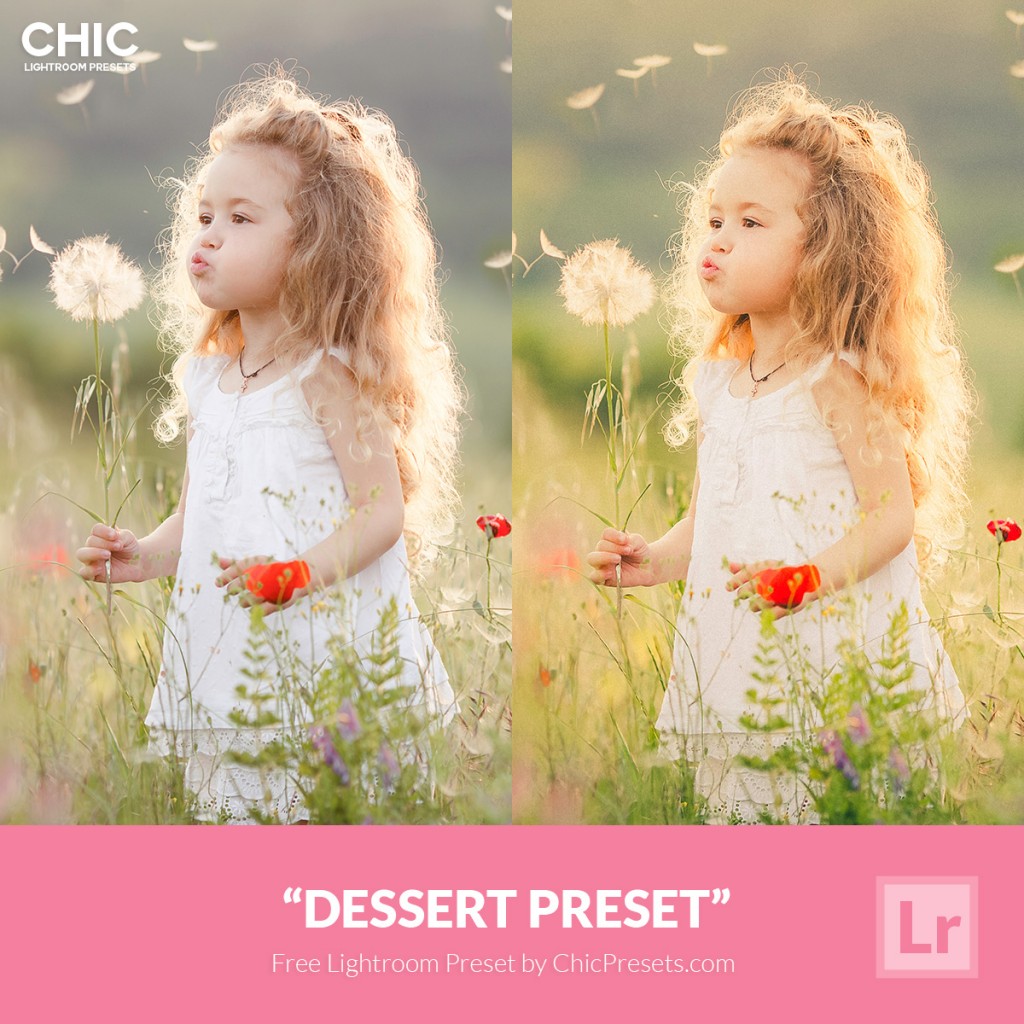 Chic Free Lightroom Preset Dessert