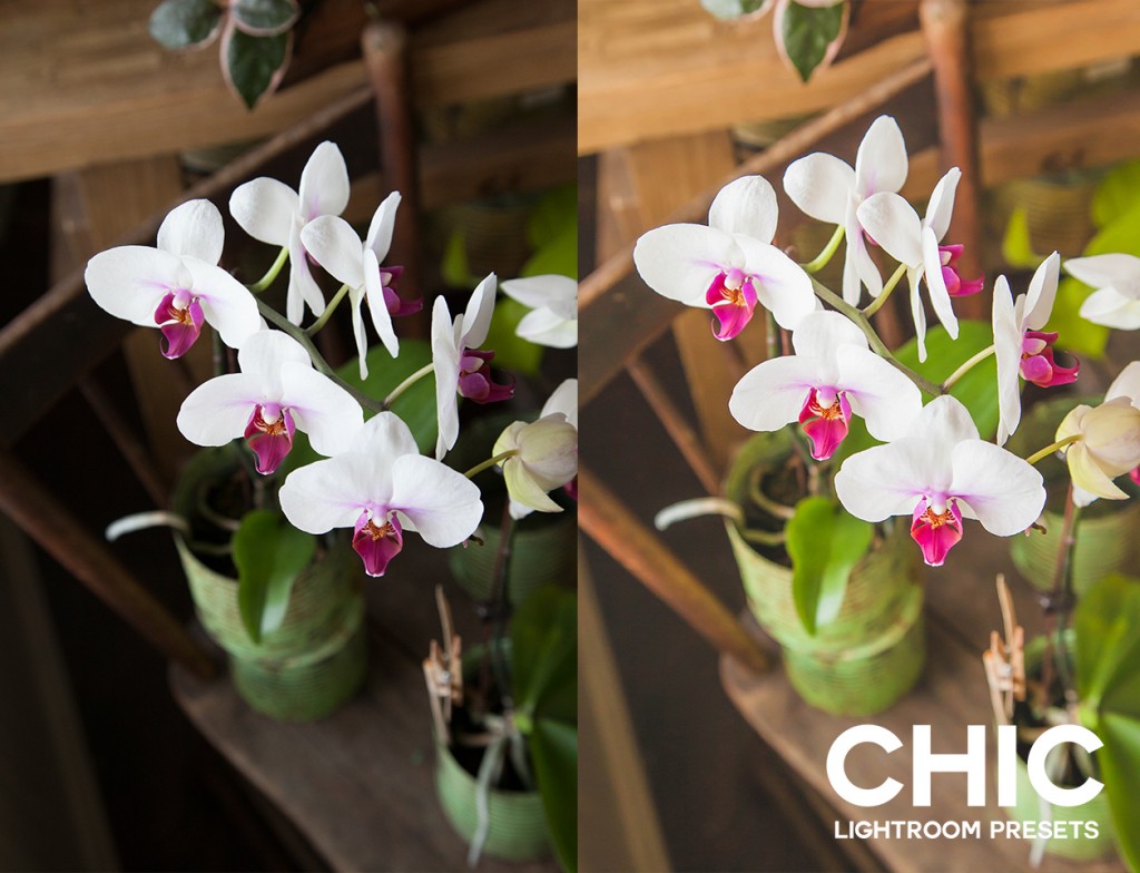 Quick Edit: Chic Presets