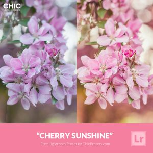 Free Lightroom Preset Cherry Sunshine