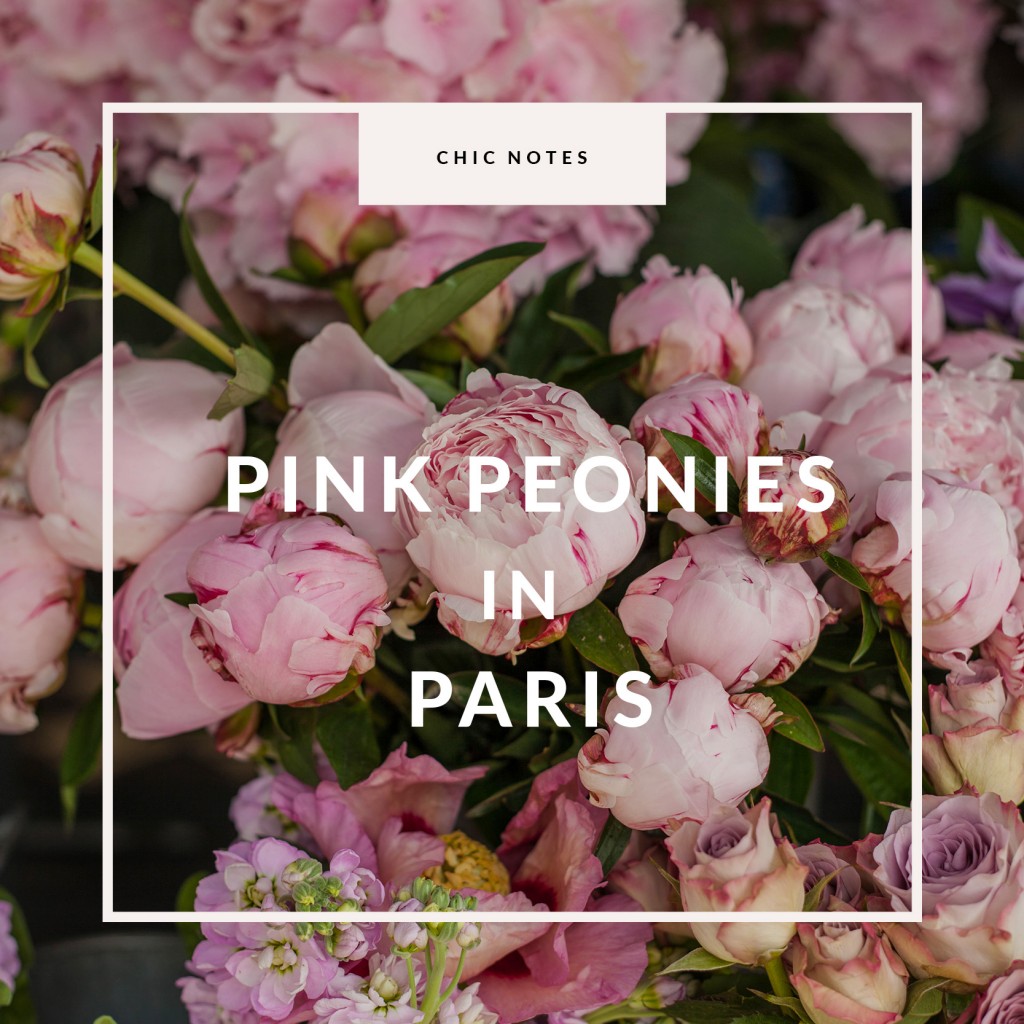 Chic Notes: Pink Peonies in Paris