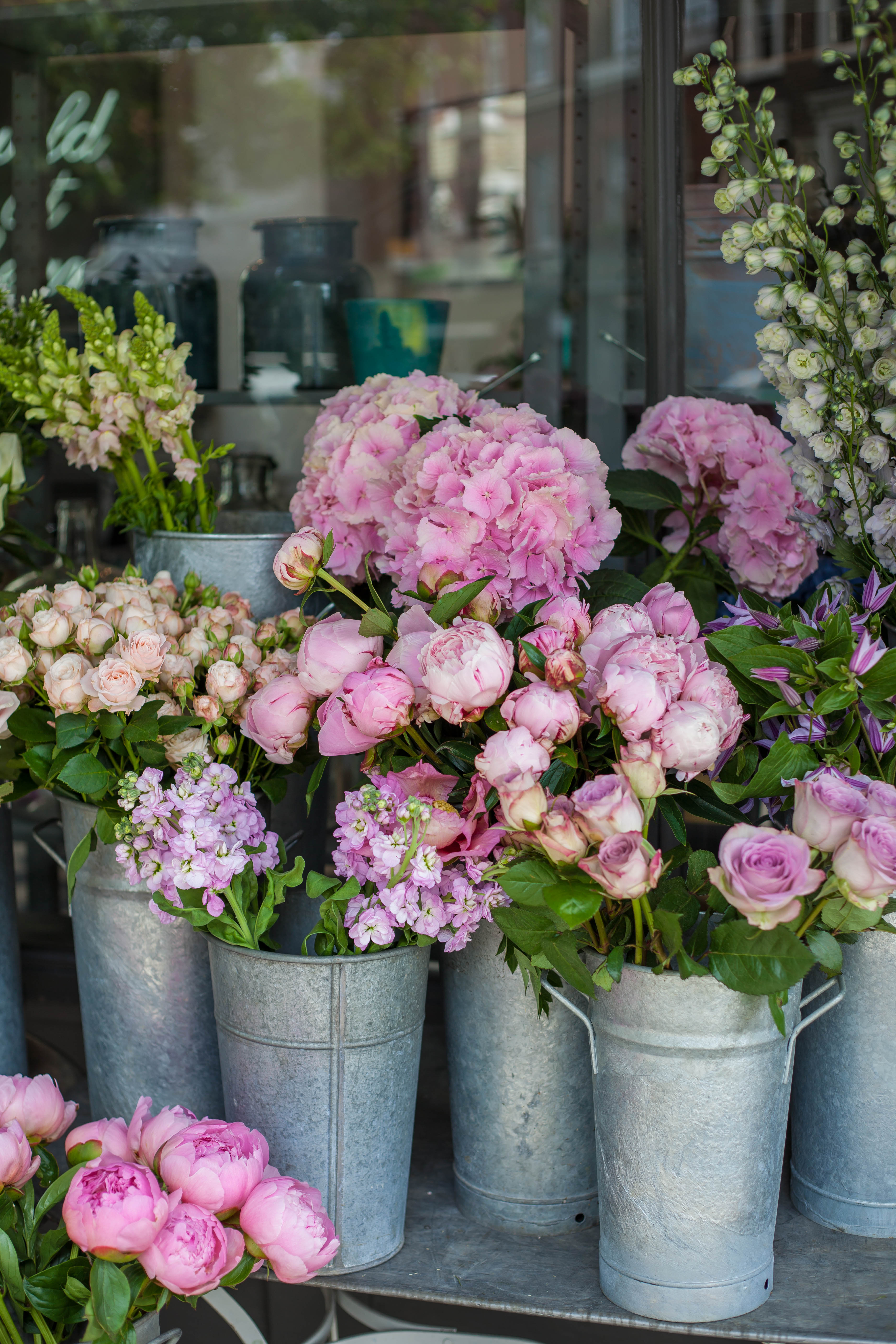 Chic Notes: Pink Peonies in Paris