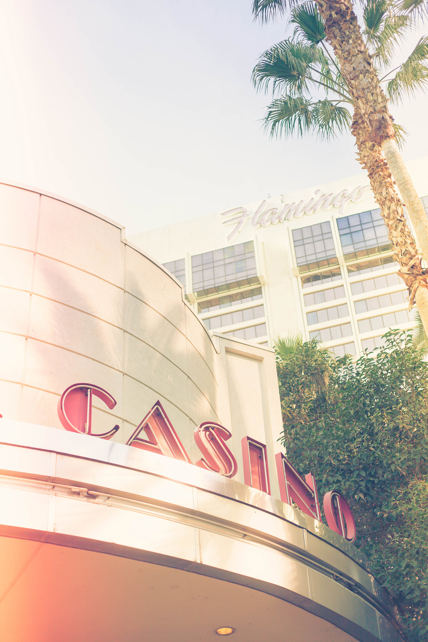 Viva Las Vegas: Chic Lightroom Presets & Brushes!