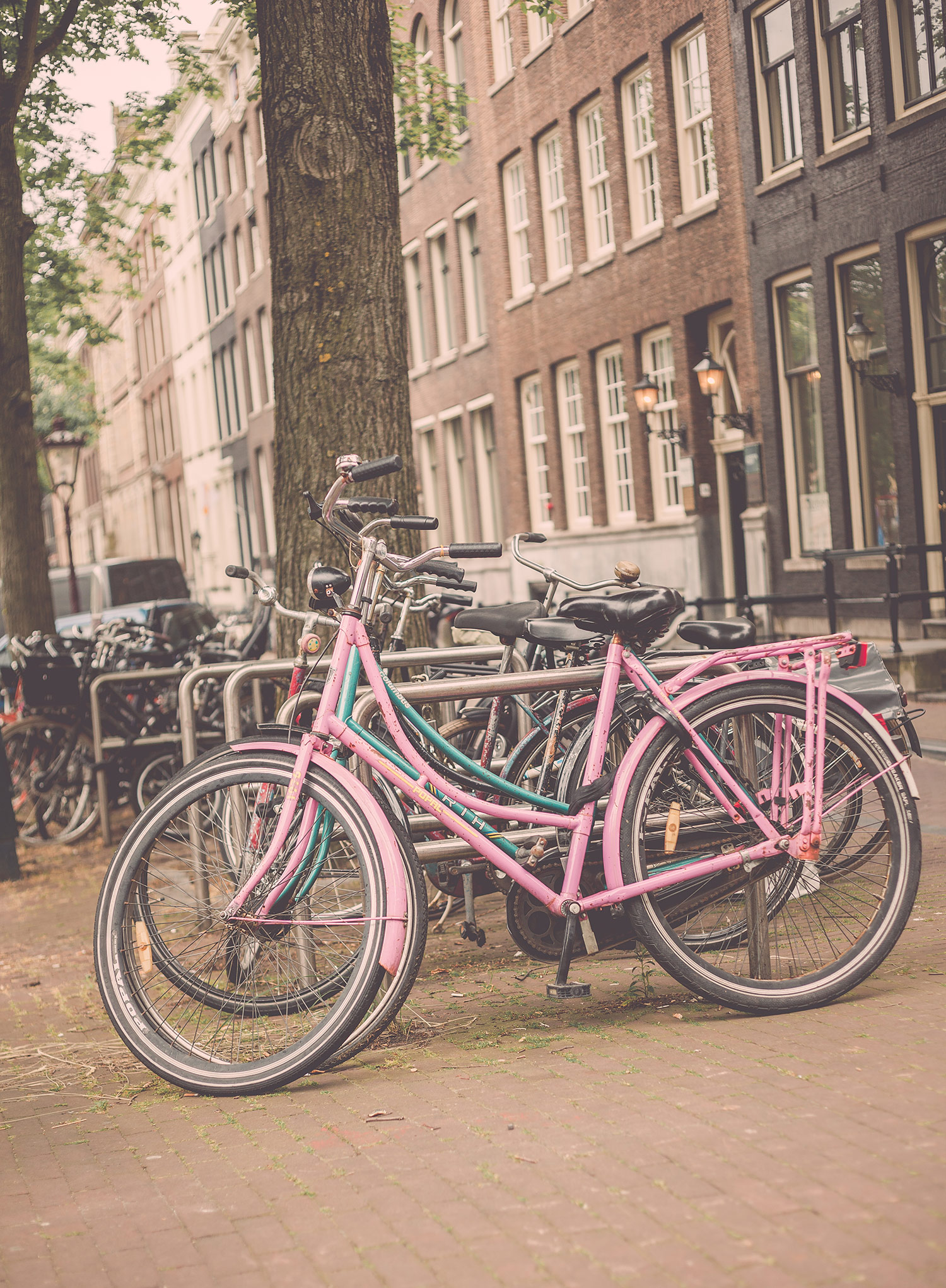 Amsterdam | Chic Lightroom Presets