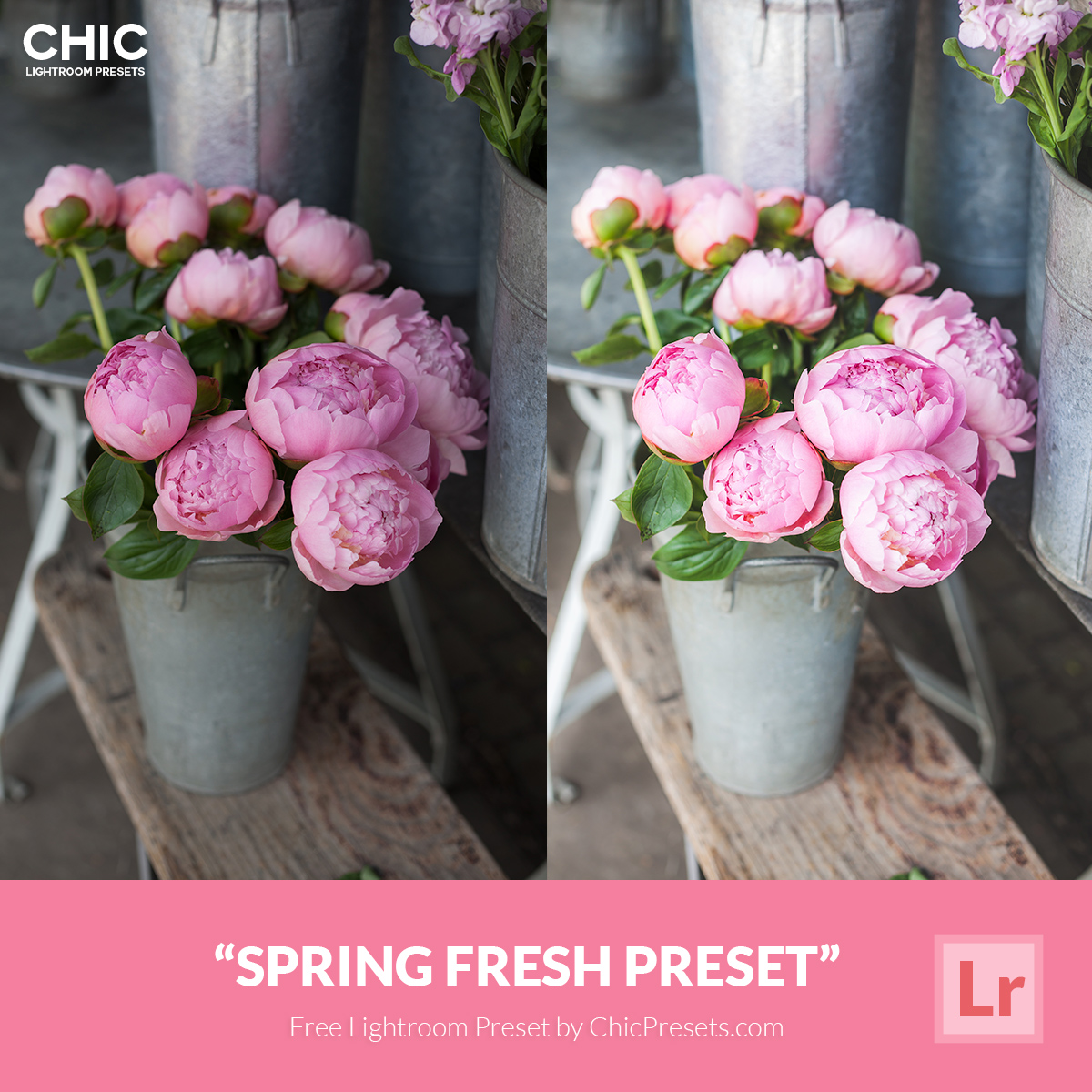 Free-Lightroom-Preset-Spring-Fresh-Chic-Presets