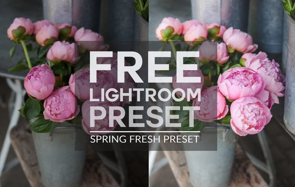 Free Lightroom Preset | Spring Fresh