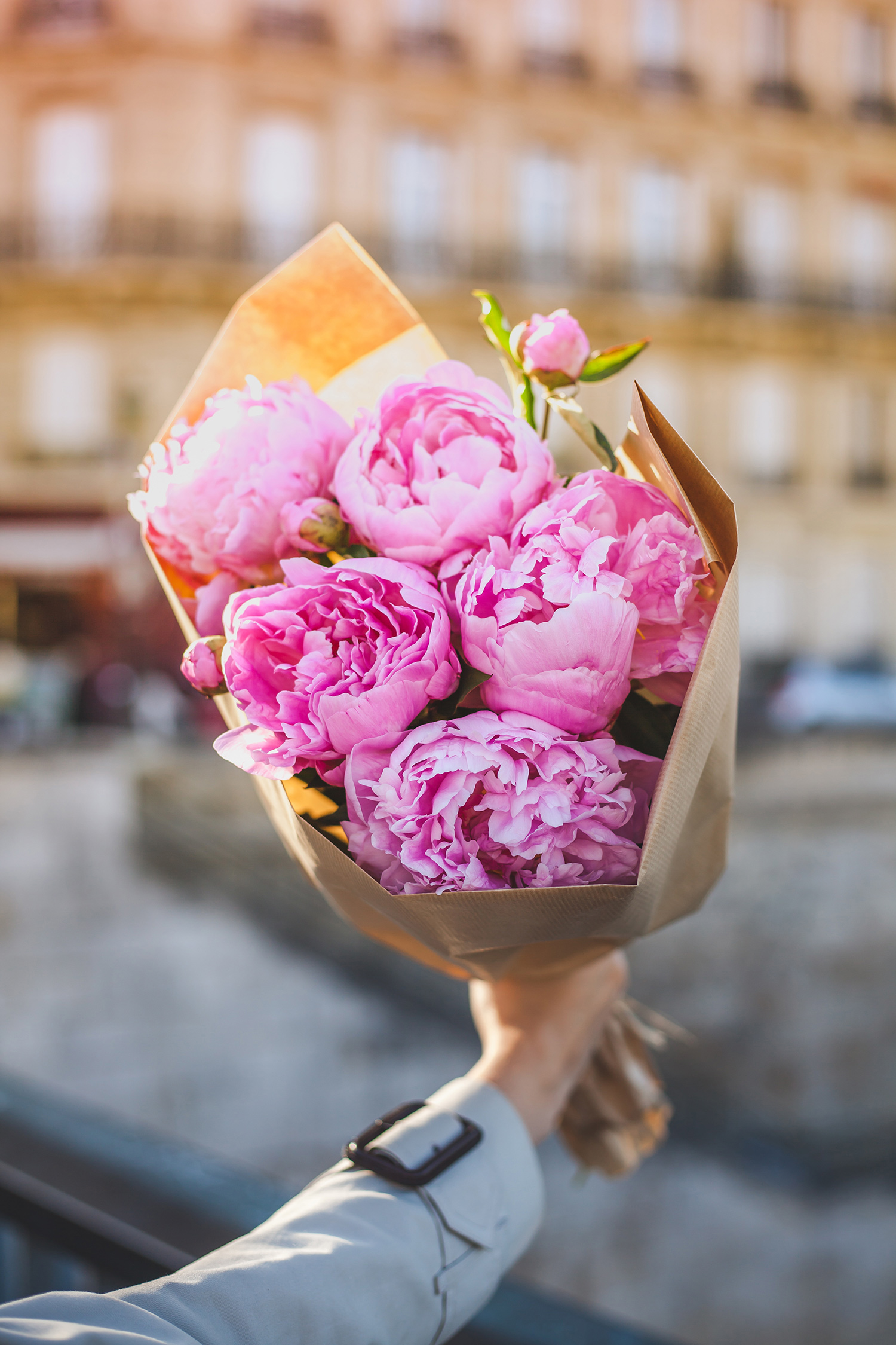 Peonies in Paris | Chic Lightroom Presets