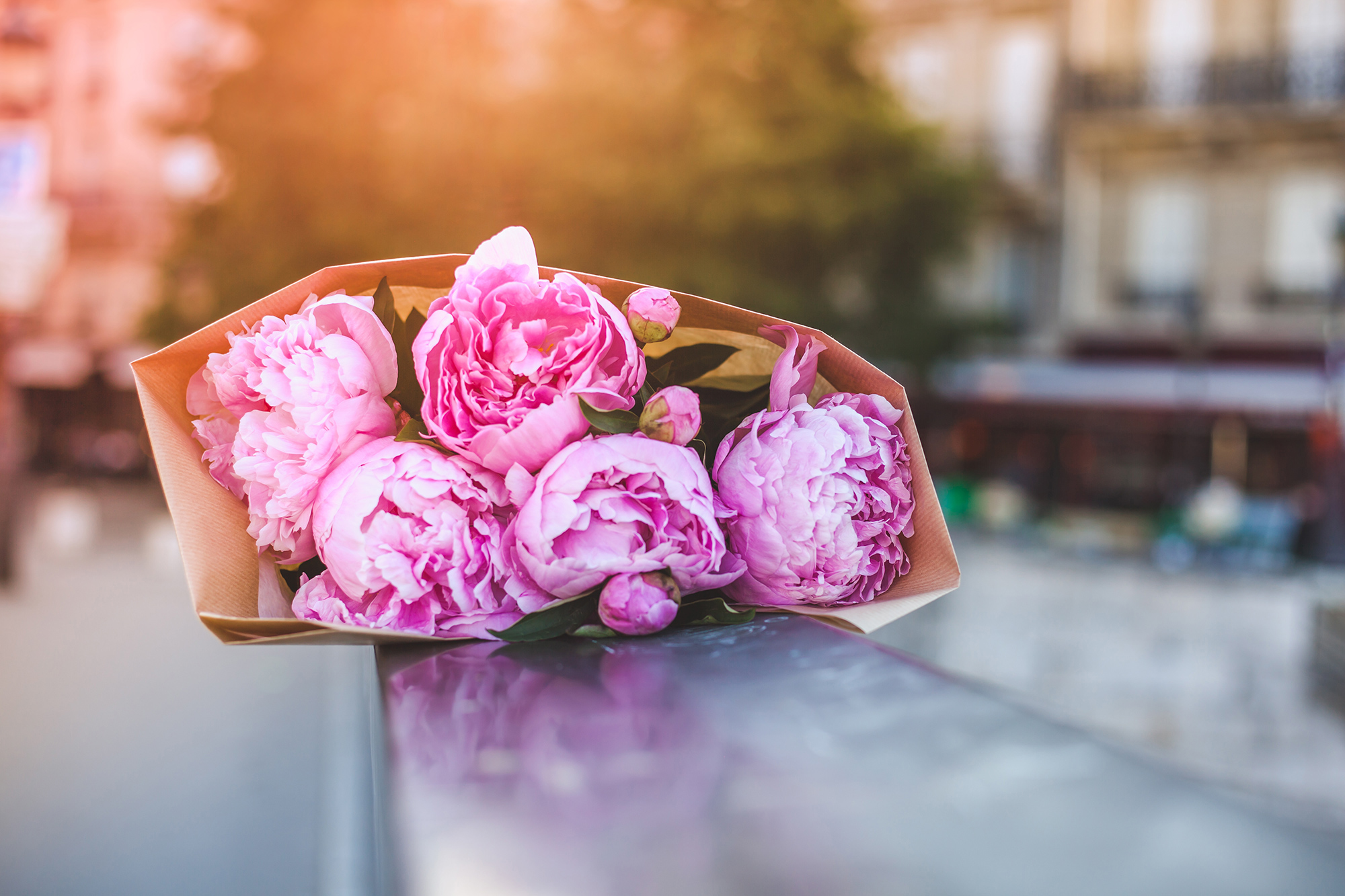 Peonies in Paris | Chic Lightroom Presets