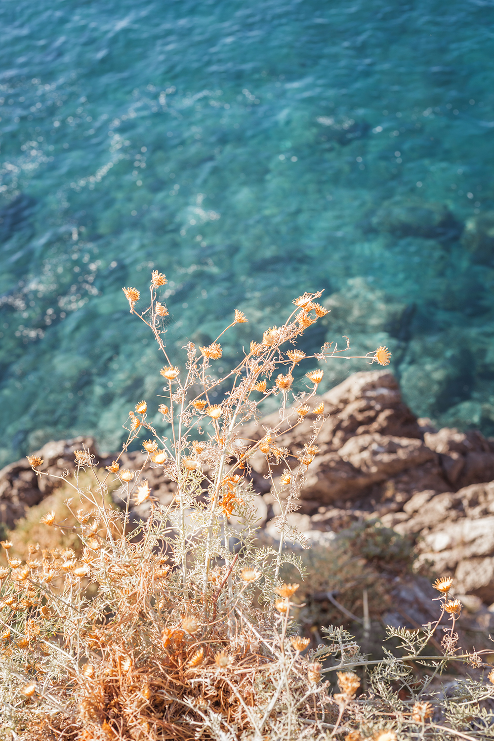 Private Beach Positano Chic Lightroom Presets1