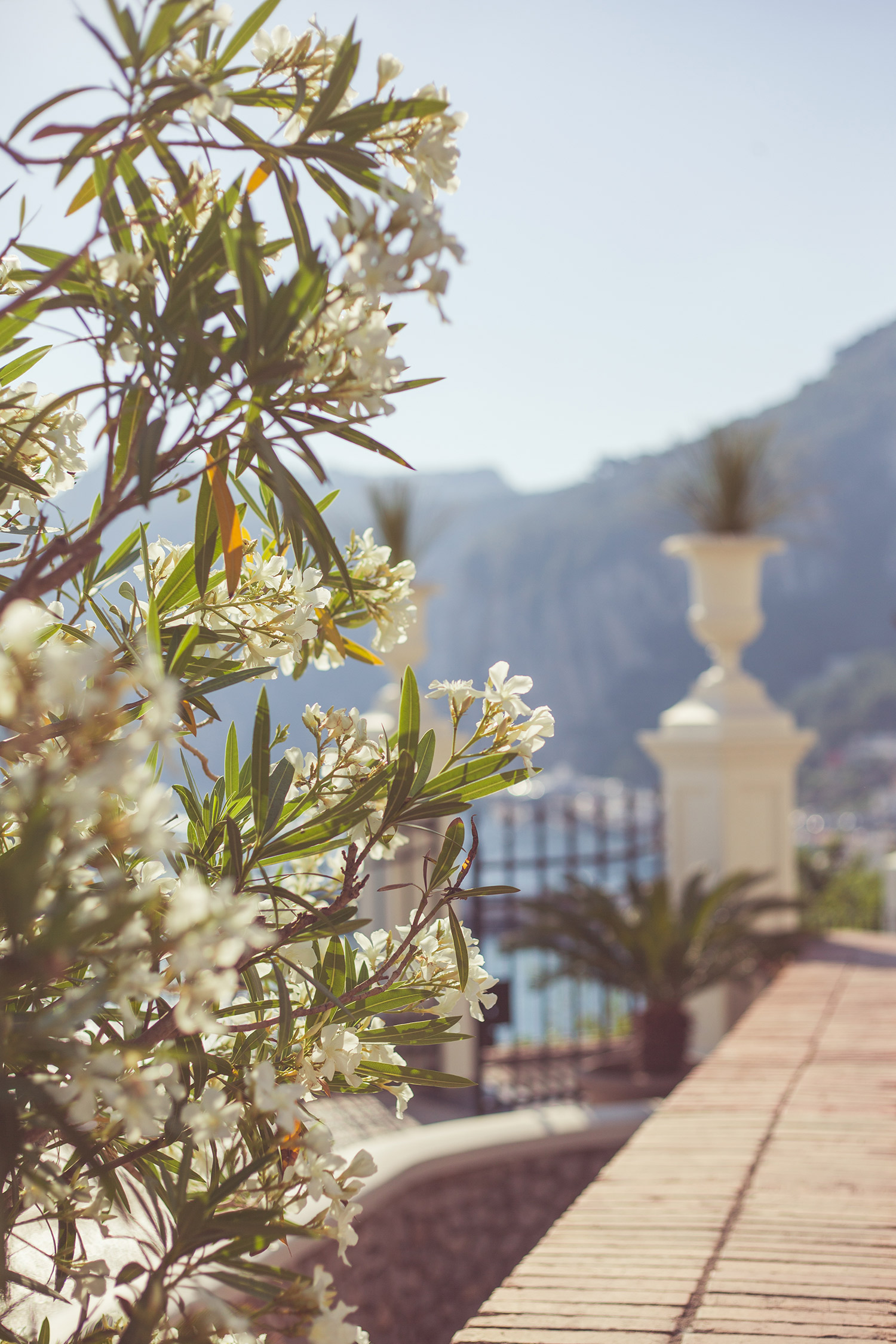 Sunny Capri | Chic Lightroom Presets