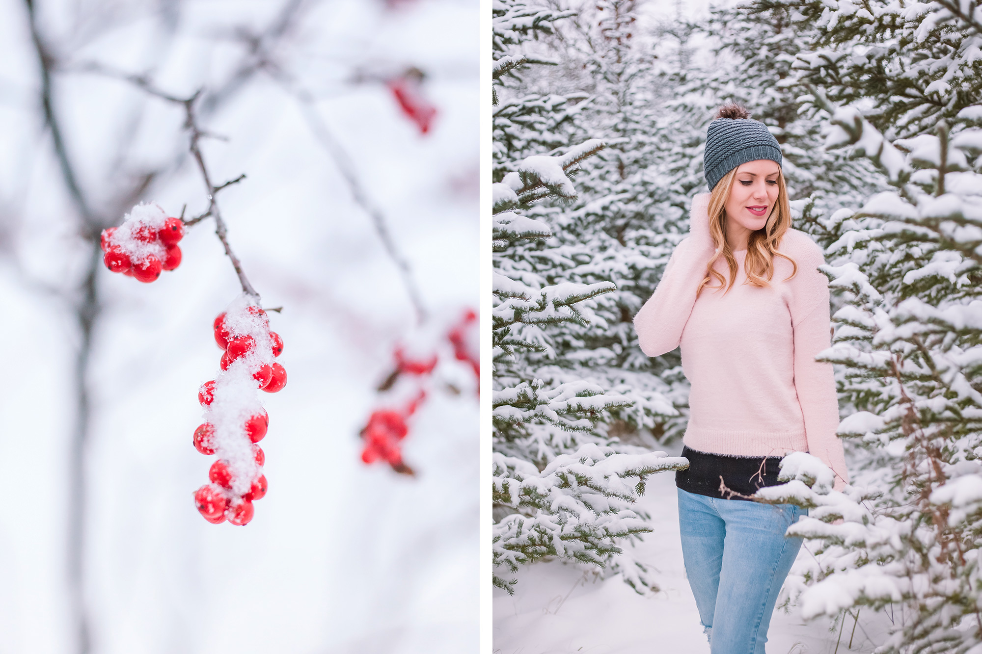 Winter Wonderland | Chic Lightroom Presets