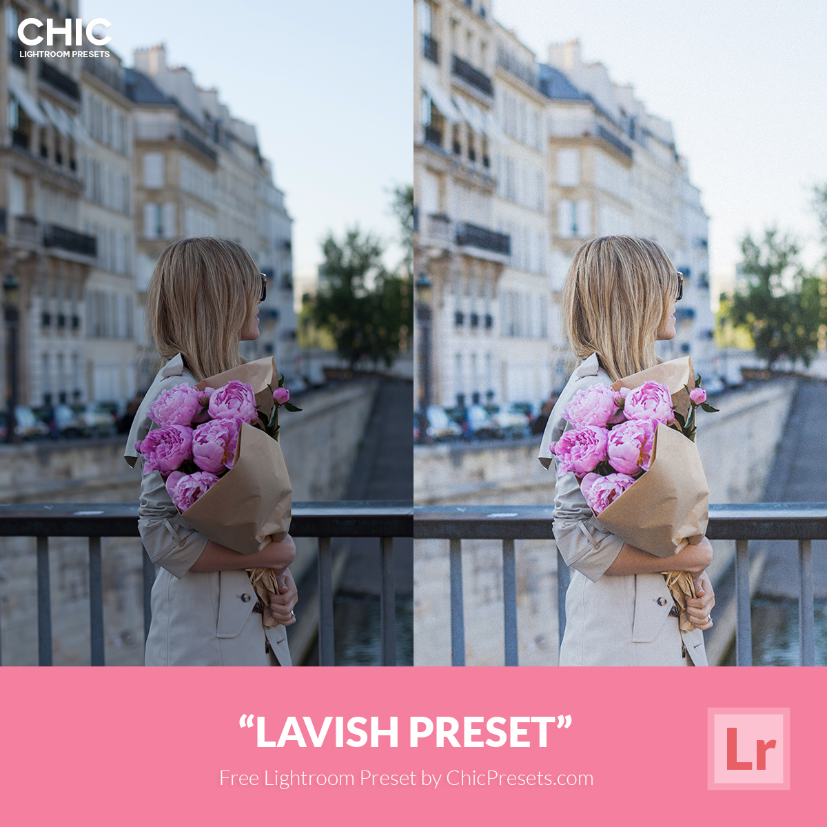 Free Chic Lightroom Preset Lavish