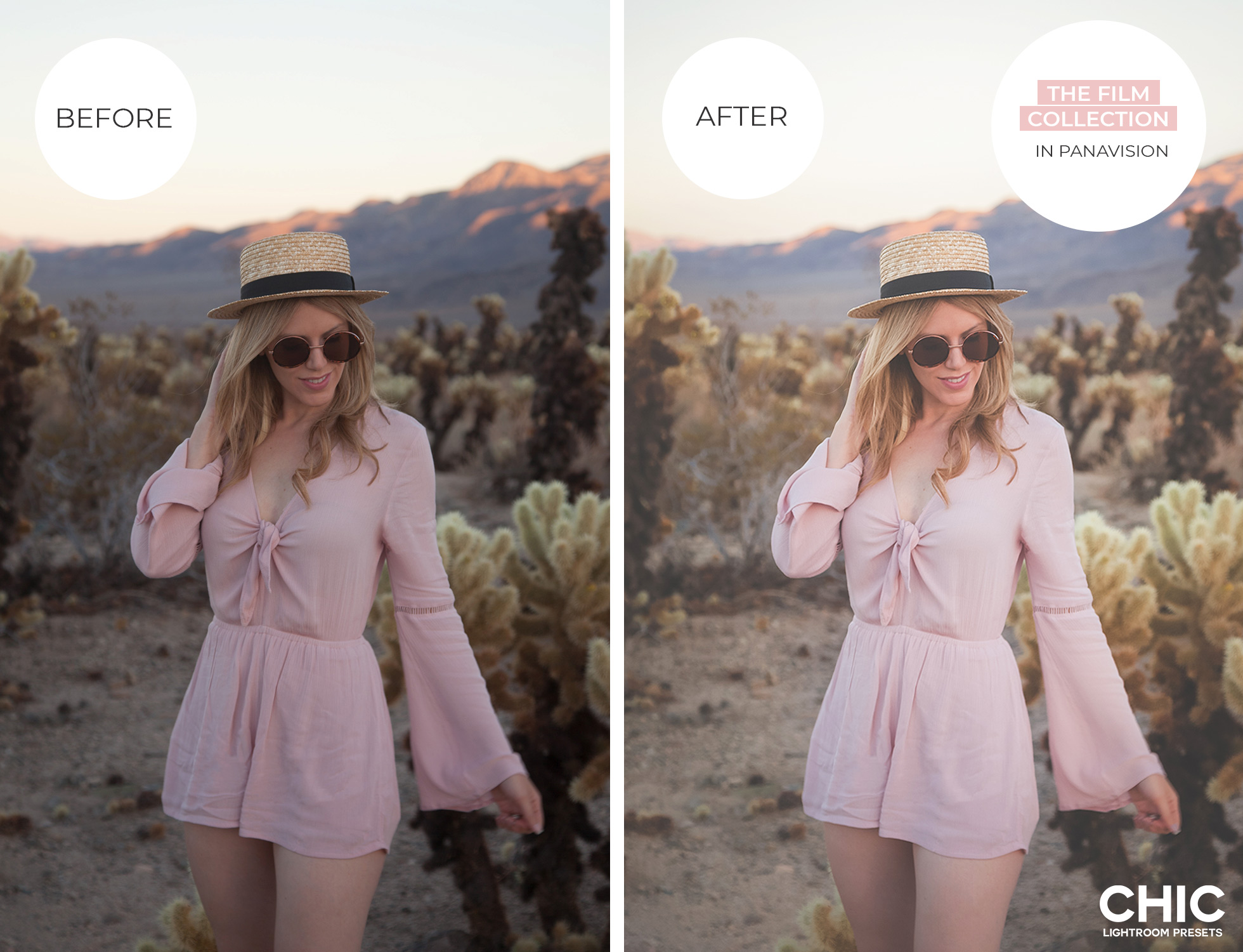 Film Presets | The California Desert