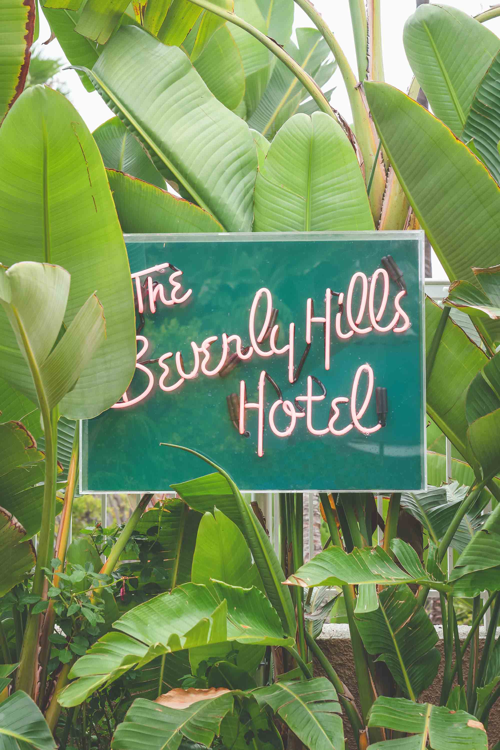 Blogger Presets | The Beverly Hills Hotel