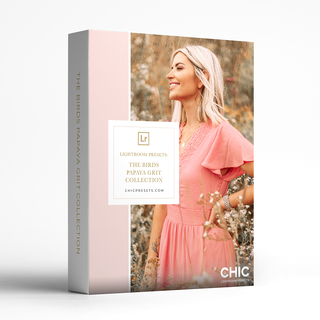 Chic Lightroom Presets - The Birds Papaya Grit Collection