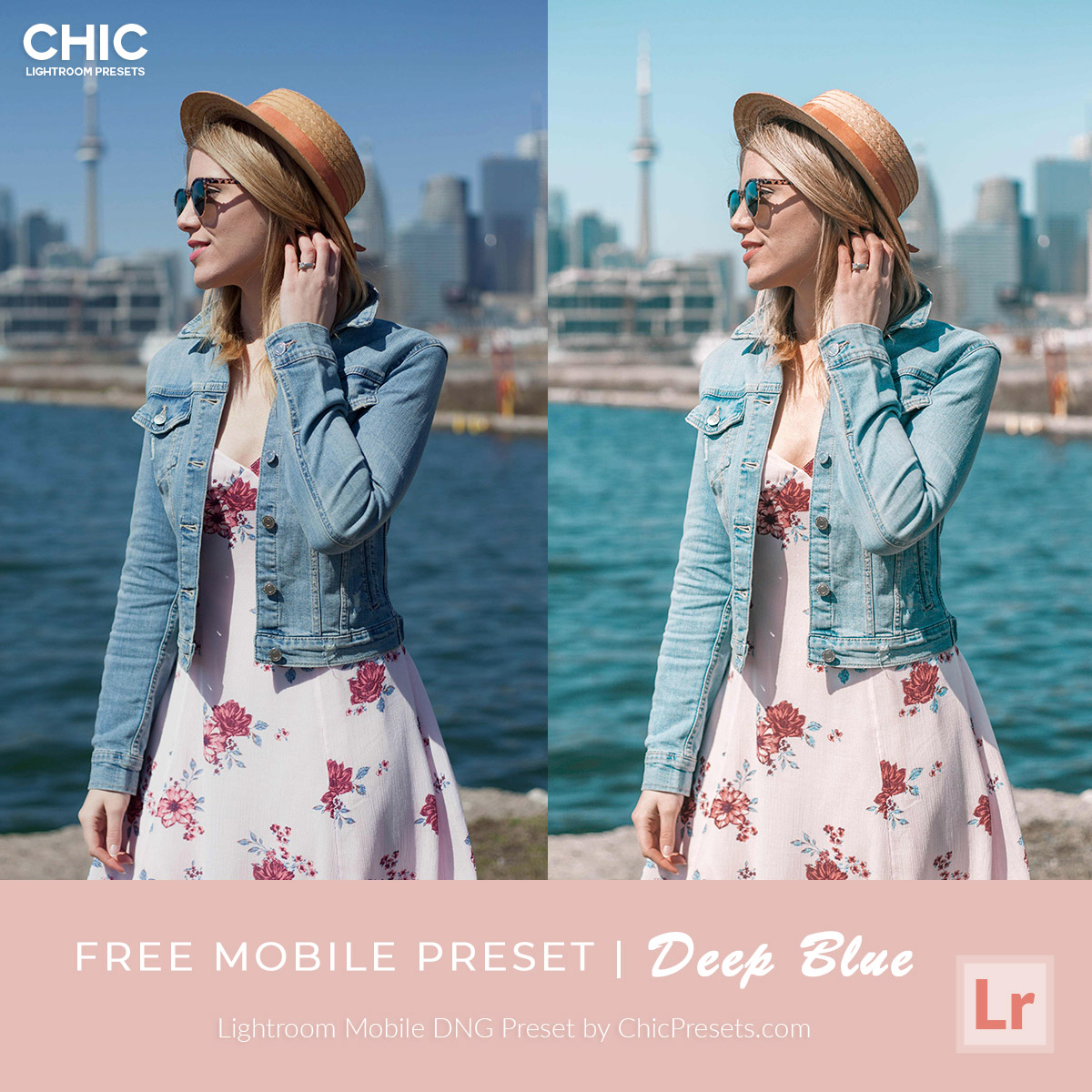 lightroom dng presets free download 2022